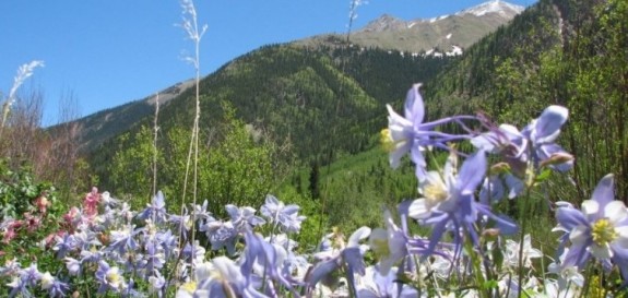 Contact us for Twin Lakes Colorado information.